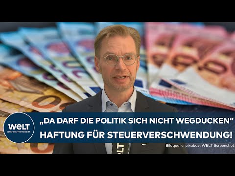 BUND DER STEUERZAHLER: Politiker haften lassen | Präsident Reiner Holznagel im WELT Interview