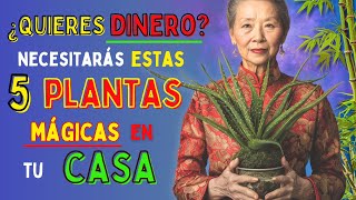 ¿Quieres DINERO? Siembra estas 5 Plantas para Atraer RIQUEZA a tu Vida