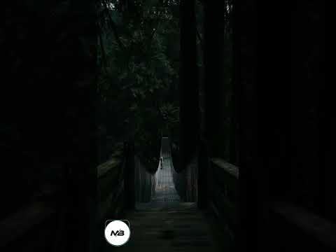 Vanze x Balco x Fransis Derelle - All I Need - Music box #shorts #ncs #ncsmusic #ncsshorts