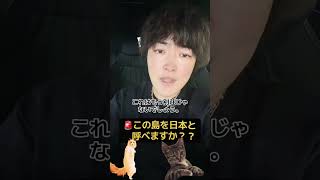 #日本株#株式投資#投資初心者#資産運用#日本市場#株の勉強#株式入門#投資生活#デイトレード#スイングトレード
