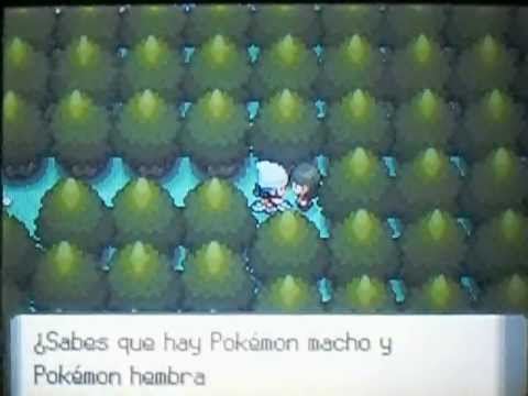 how to get captivate (tm78) in pokemon diamond/pearl.