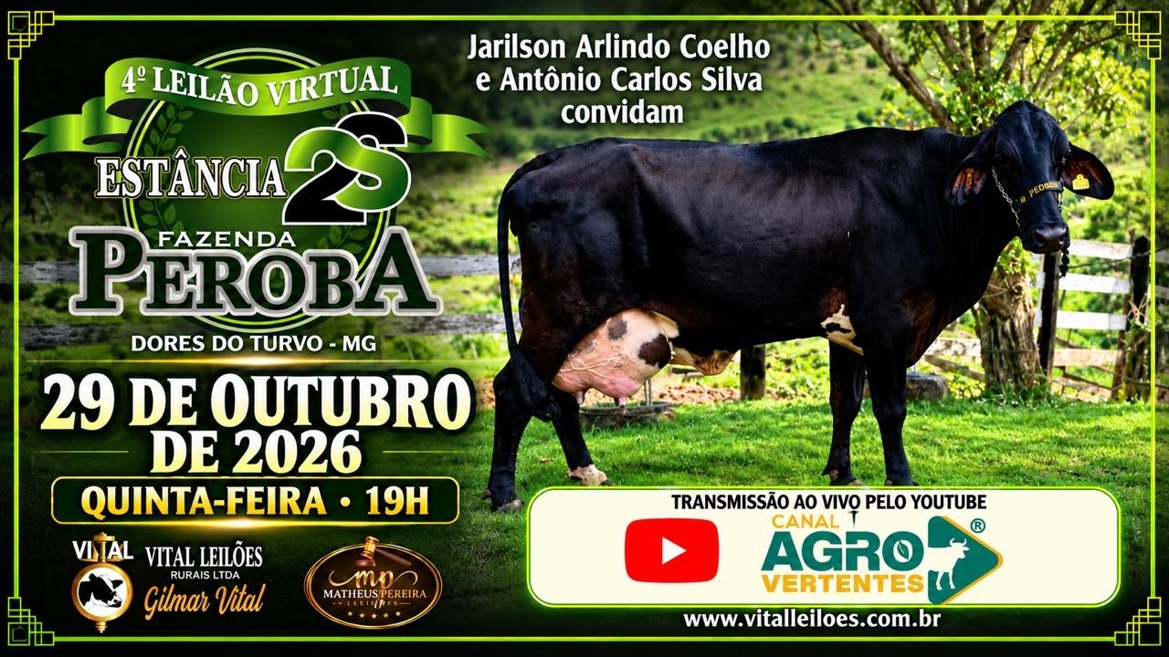 4º LEILÃO VIRTUAL ESTÂNCIA 2S E FAZENDA PEROBA -  DORES DO TURVO/MG - 29/11/2026
