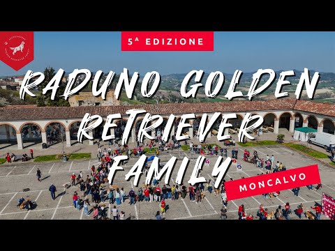 RADUNO GOLDEN RETRIEVER FAMILY MONCALVO | 5 APRILE 2025 #goldenretriever #radunogolden #cane #festa