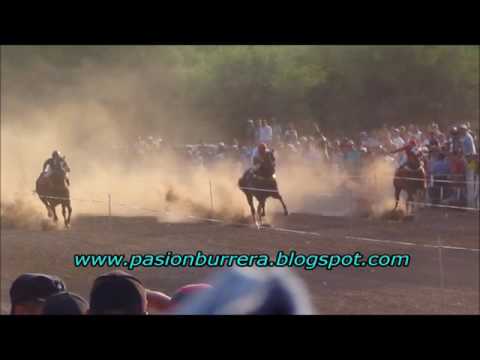 Sin Codigo, Pangare   Cruz del Eje (12-02-17)