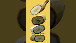 You Won't Believe Which Fruit Is a Berry!