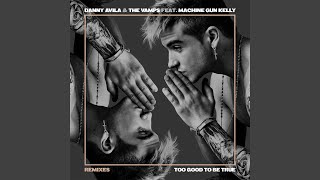 Too Good to Be True (Danny Avila&#39;s Ibiza Remix)