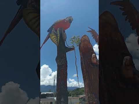 colombia piamonte e cauca la otacaucana