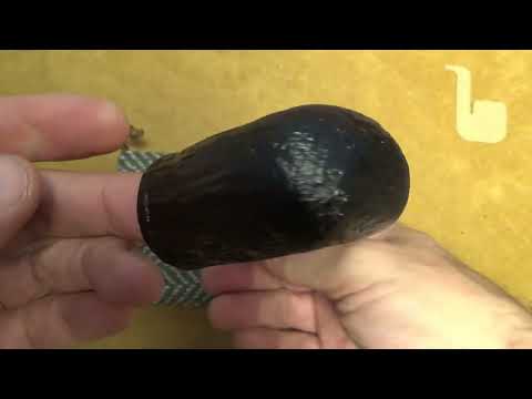 Pipa Peterson Pipe of the Year 2025 - Sabbiata - Limited Edition n.221 di 1000