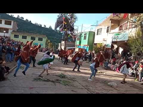 Maizales de secclla 2022