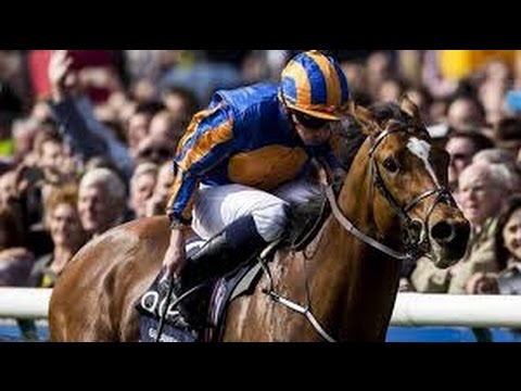 2015 Tattersalls Irish 2,000 Guineas (Group 1) 1600 m Class 1