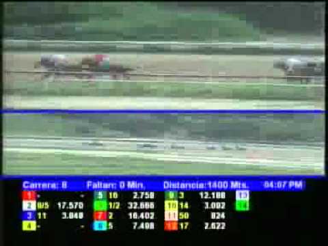 8VA CARRERA DOM 23 SEPTIEMBRE LA RINCONADA AUDIOHIPISMO