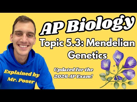 5.3 Mendelian Genetics - AP Biology (Updated 2025-2026)