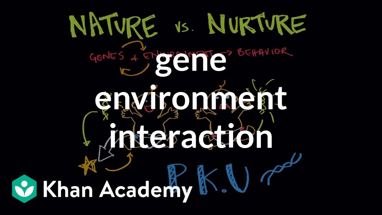 Interacțiunea mediului genelor | Comportament | MCAT | Khan Academy - YouTube