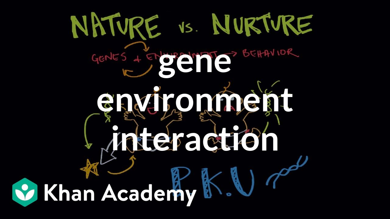 What are the three types of gene-environment interactions?