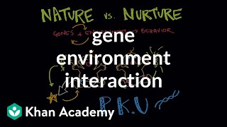 Gene environment interaction 