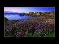 Paul Mauriat - La paloma (1974) 