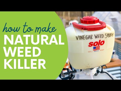 The Best Homemade Weed Killer (Easy and All-Natural!)