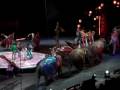 Ringling Zing Zang Zoom 2