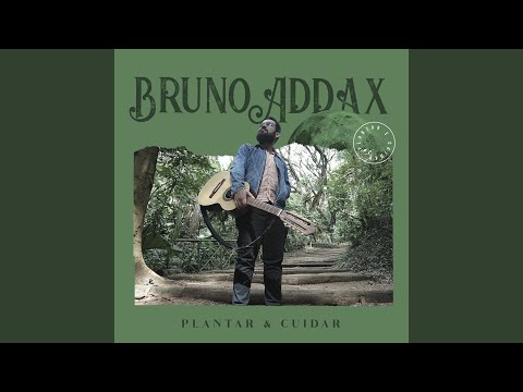 Coluna - Bruno Addax