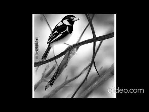 Grey Matter (Nightcore) - Finch