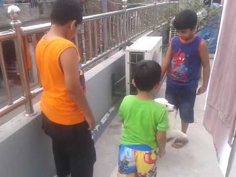 Me, my cousins and my dog