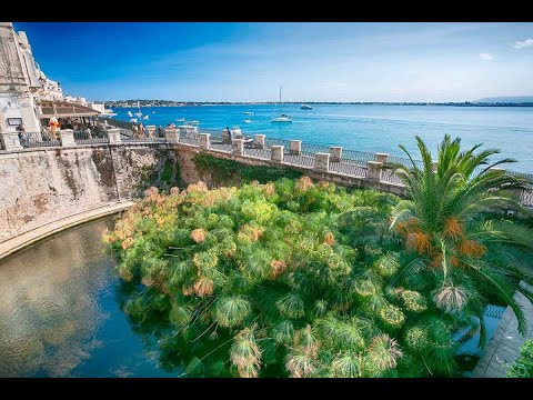 Fontana Aretusa Ortigia island.