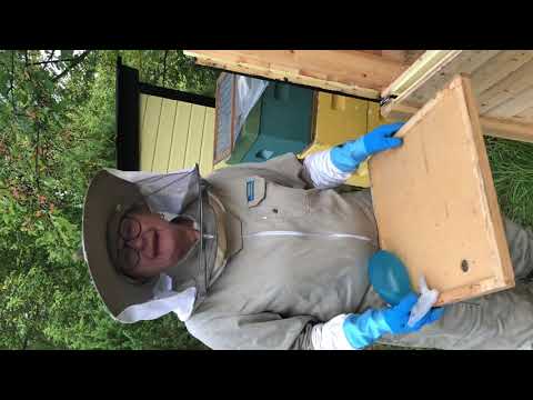 Skatta med bitömmarbotten