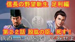 #22  実況 信長の野望新生PKCE 足利編【義輝(義藤)・義晴】シーズン7