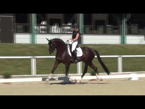 BONDS & Beatrice Buchwald - 2. WM-Sichtung 2018