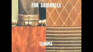 For Squirrels- The Immortal Dog and Pony Show