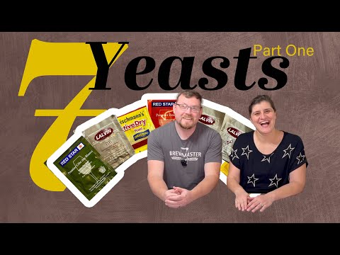 7 YEASTS vs MEAD | Learning About Different Yeasts to Make Mead | Part 1