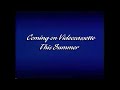 Coming On Videocassette This Summer Navy Blue
