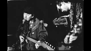 Television Personalities - A Day In Heaven (live)