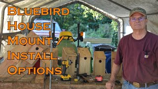 How to Mount a Bluebird House
