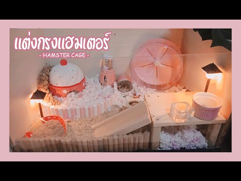 Hamster Cage Open Box | แต่งกรงแฮมเตอร์ หวานเย็น | Ep.1