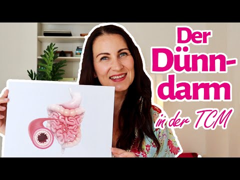 The small intestine in TCM & how it influences your well-being...