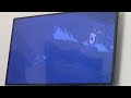 The Rescuers Down Under 1990 Percival C McLeach S Death Latin Spanish Version