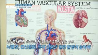 경동맥 혈류 낮을수록 심뇌혈관질환 높다