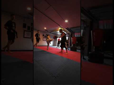 Jason Arena Jr doing sidekick drills in taekwondo class. #taekwondo #martialarts