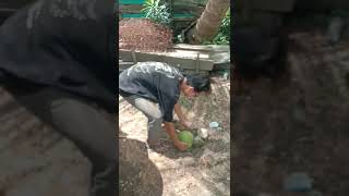 ngambil air klp buat sarapan