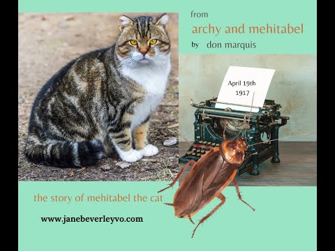Mehitabel the Cat from Archy and Mehitabel by Don Marquis