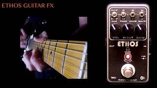 Video thumbnail for Ethos TWE-1 overdrive by Mike Hermans