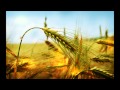 The Donut Man The Eucharist Song Live