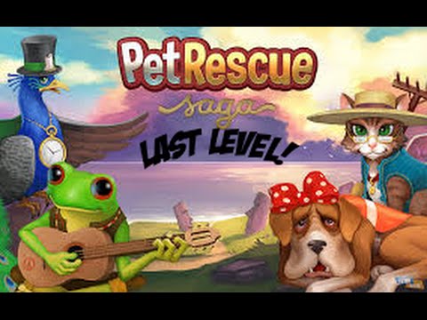 ✔PET RESCUE SAGA LAST LEVEL 1071 HIGH RECORD!!✔