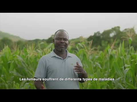 Champion de la santé : Titus Mwanza, agriculteur, Zambie