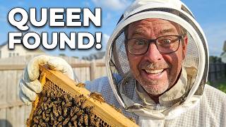 Queen Bee Located in 5 Minutes | Hive Inspection Update