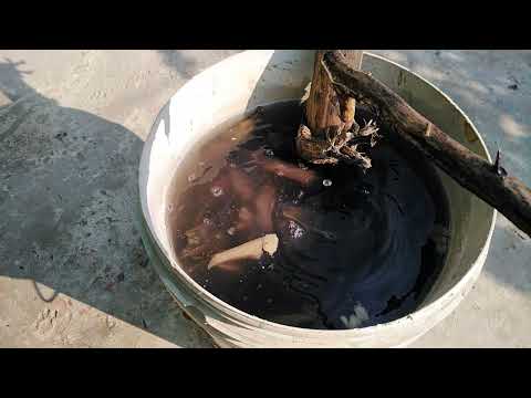 mejical fertilizer for heavy flowering