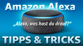 Geniale Tipps für Alexa, die Du kennen MUSST!