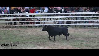 CORRIDA DE PROMESAS ACANCEH 121221