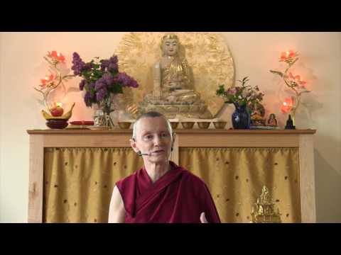 05-17-17 A Pet is Dying, How Can I Help? - BBCorner